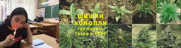 метадон Армянск