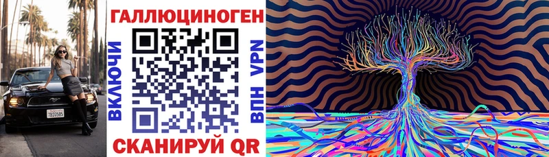 Псилоцибиновые грибы Psilocybe  Петухово 